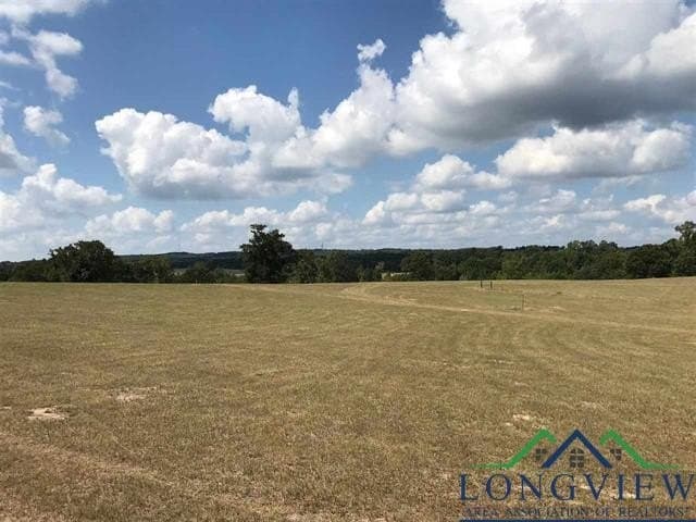 2.71 acres in Upshur County - photo 5