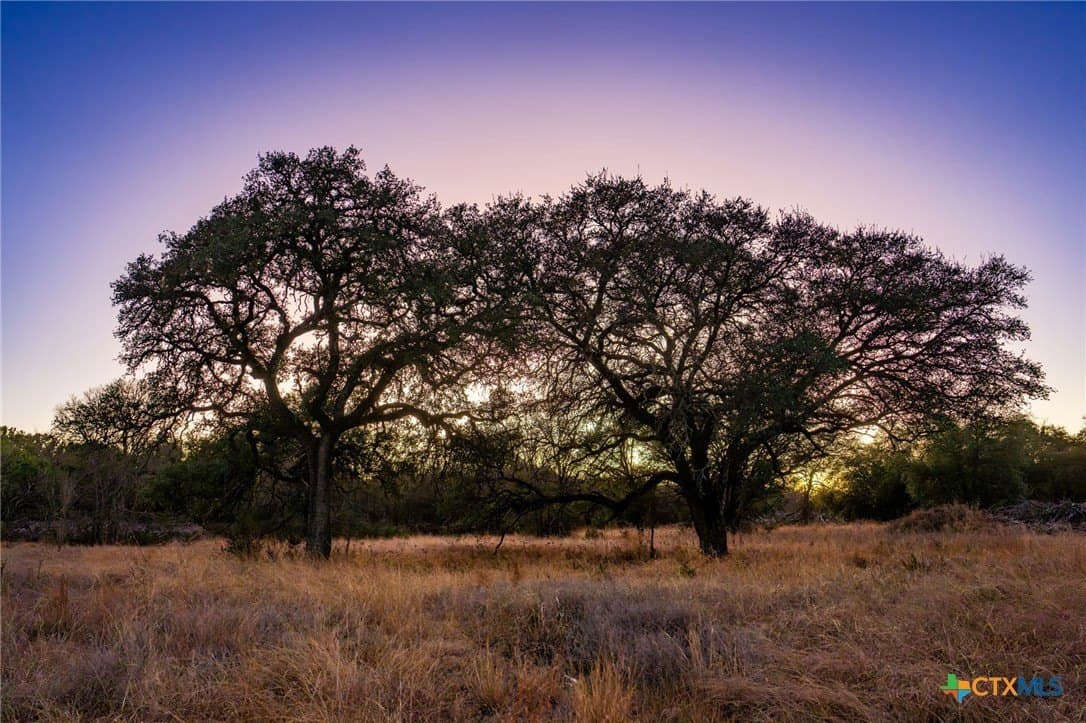 155 acres in Lampasas County - photo 5