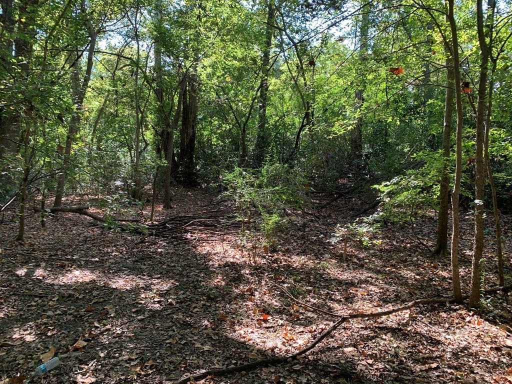 1.95 acres in Henderson County - photo 3