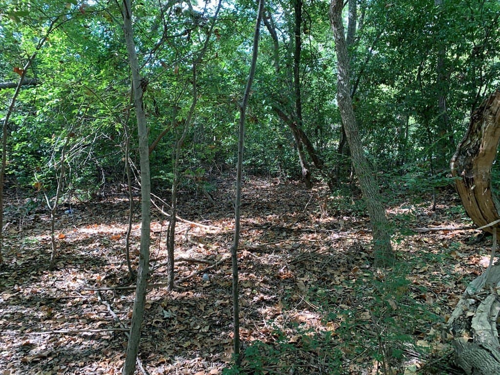 1.95 acres in Henderson County - photo 4