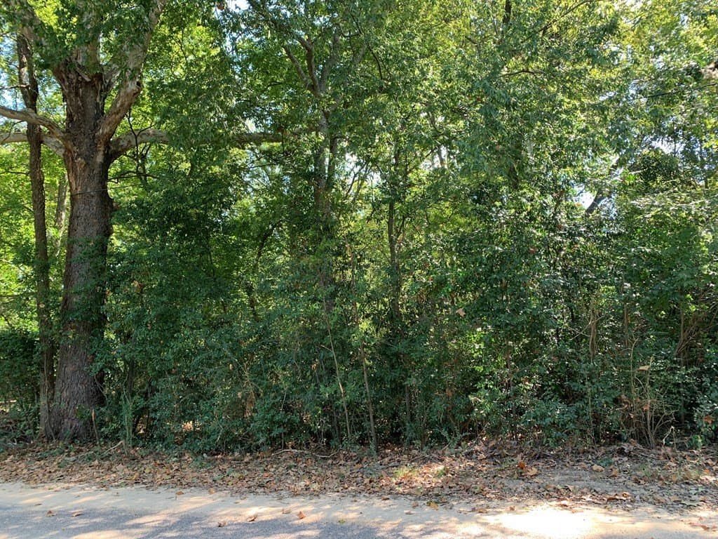 1.95 acres in Henderson County - photo 2