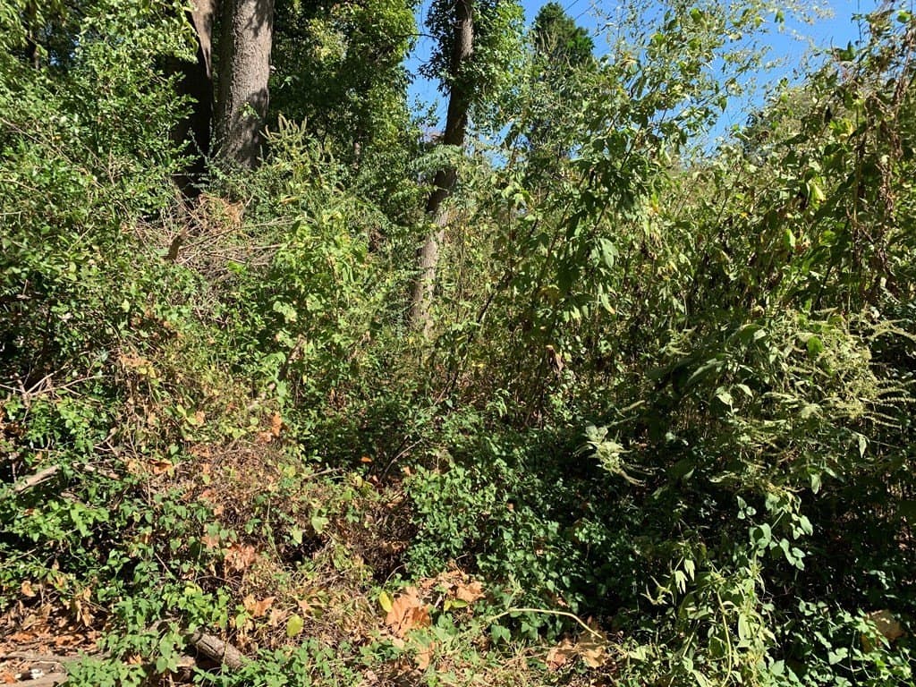 1.95 acres in Henderson County - photo 8