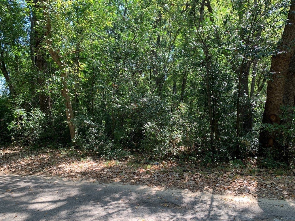1.95 acres in Henderson County - photo 5
