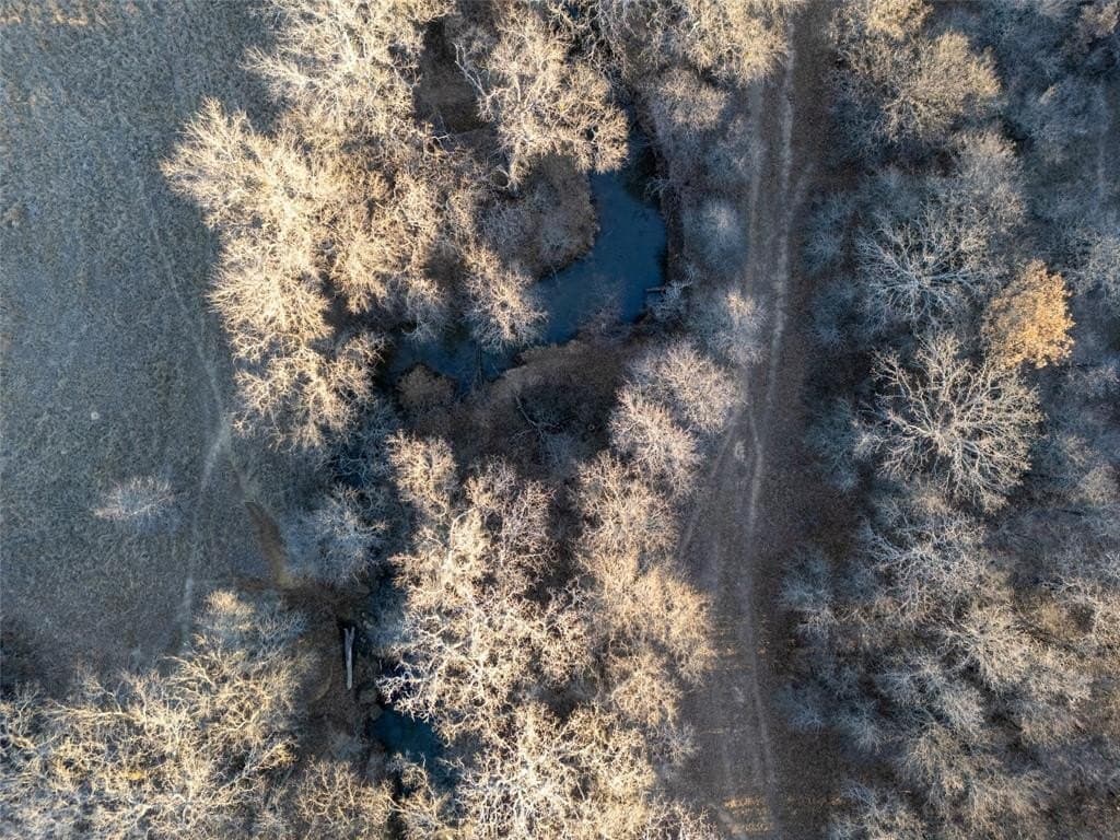 100 acres in Jack County - photo 4