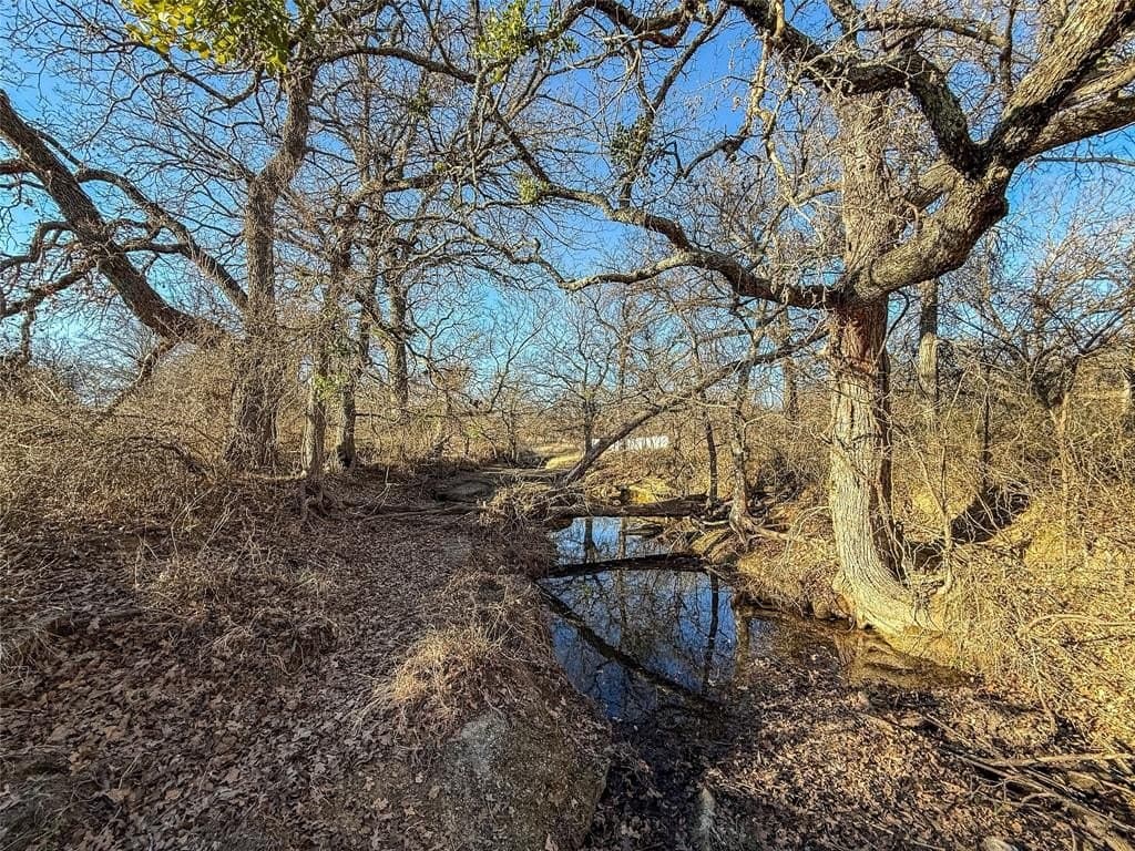 100 acres in Jack County - photo 15
