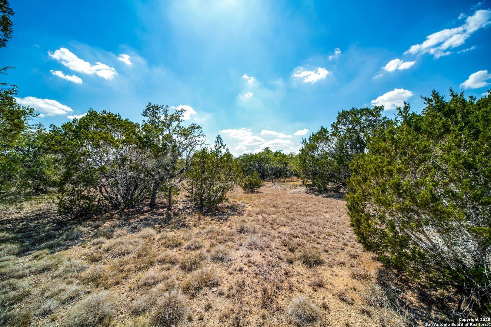 2.02 acres in Comal County - photo 4