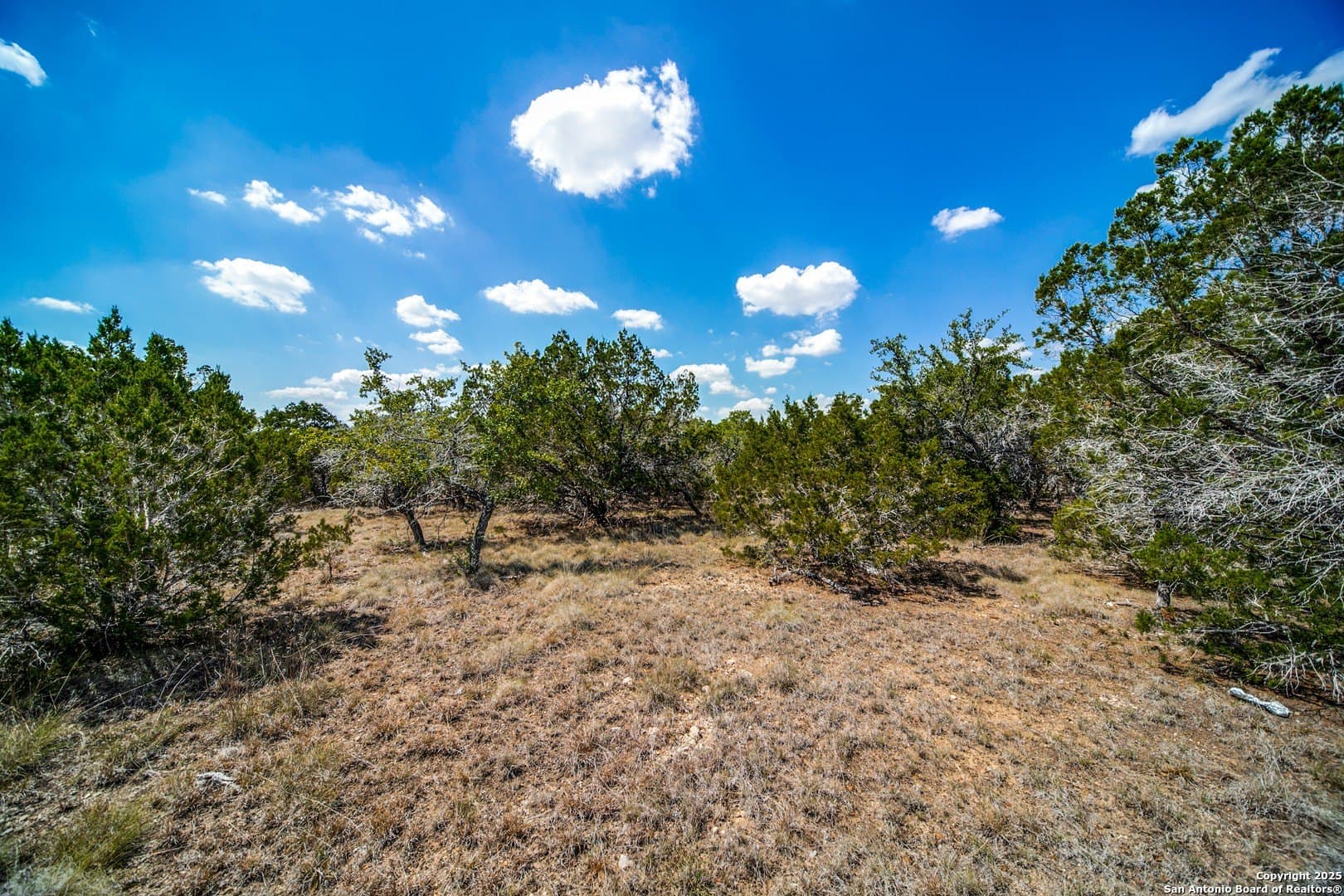 2.02 acres in Comal County - photo 5