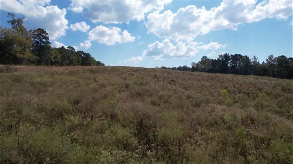 11.24 acres in Rusk County - photo 4