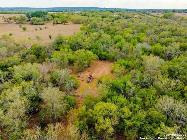 16.5 acres in Wilson County - photo 59