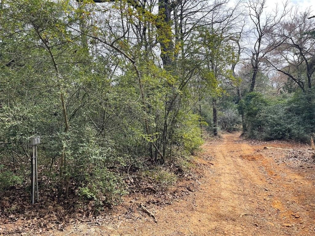 10.16 acres in Freestone County - photo 40