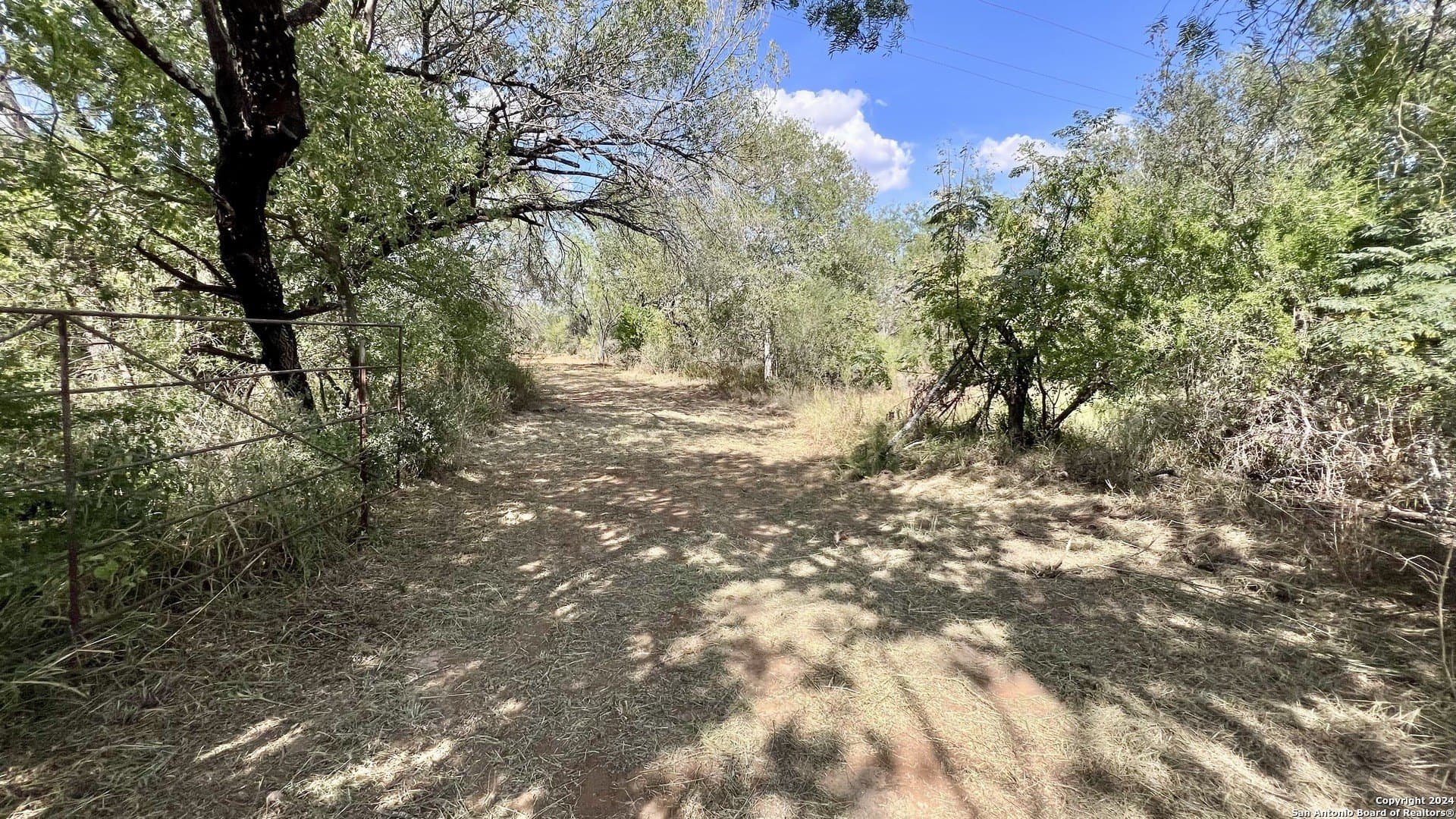 23 acres in Atascosa County - photo 14
