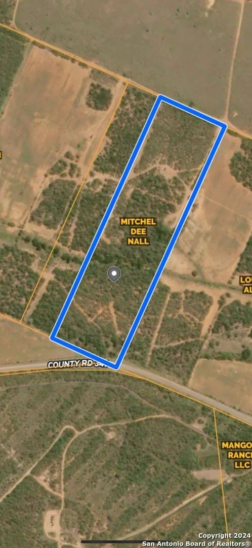 23 acres in Atascosa County - photo 3