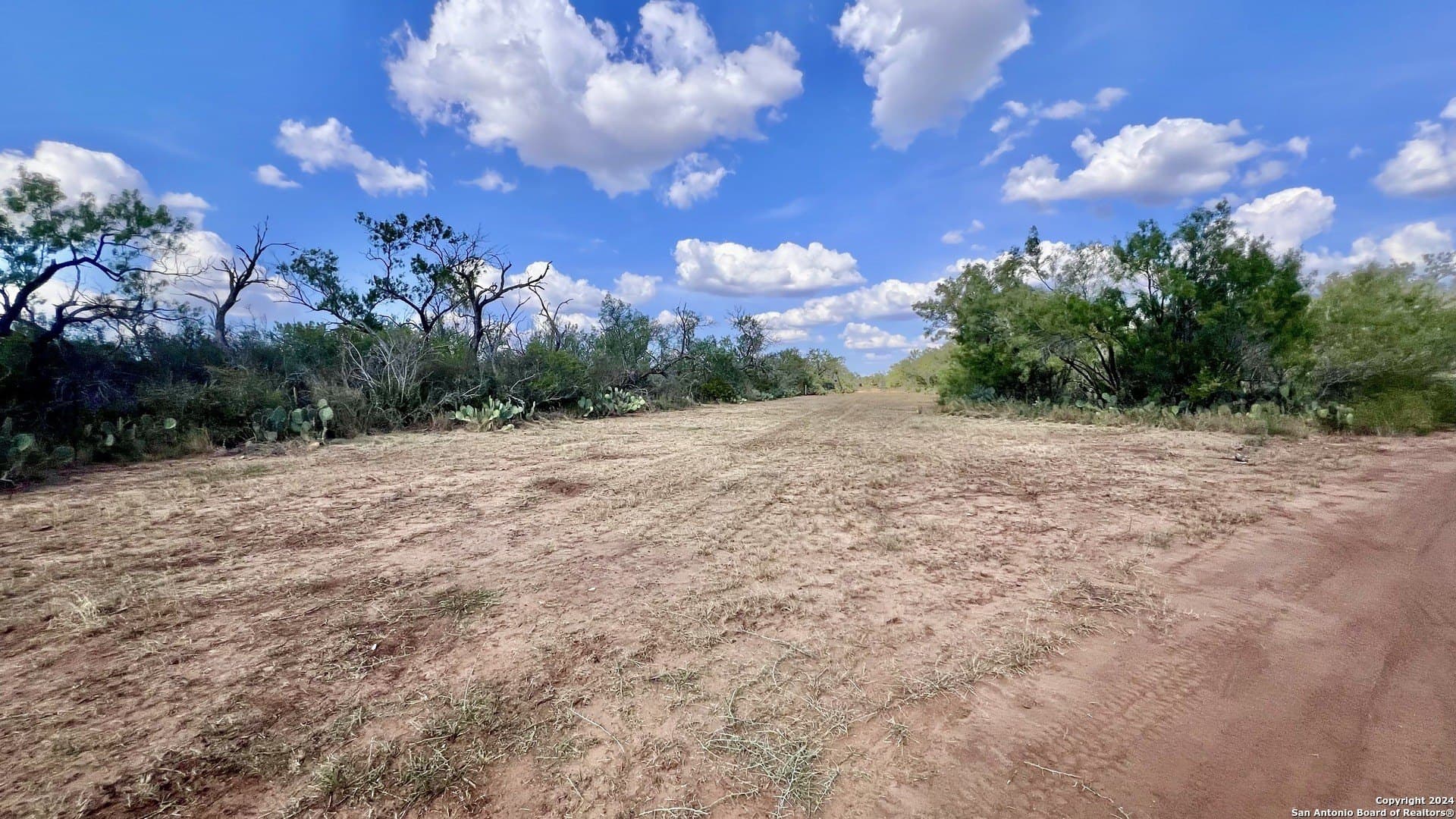 23 acres in Atascosa County - photo 12