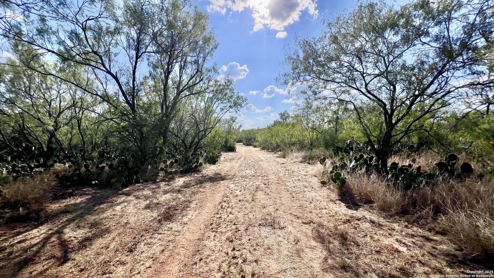 23 acres in Atascosa County - photo 18