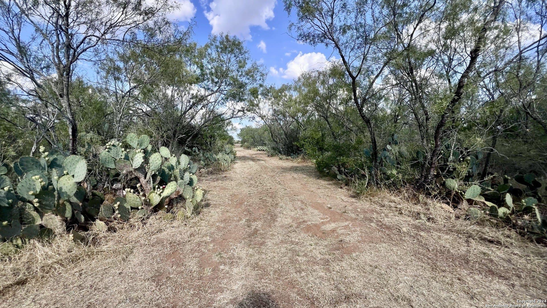 23 acres in Atascosa County - photo 23
