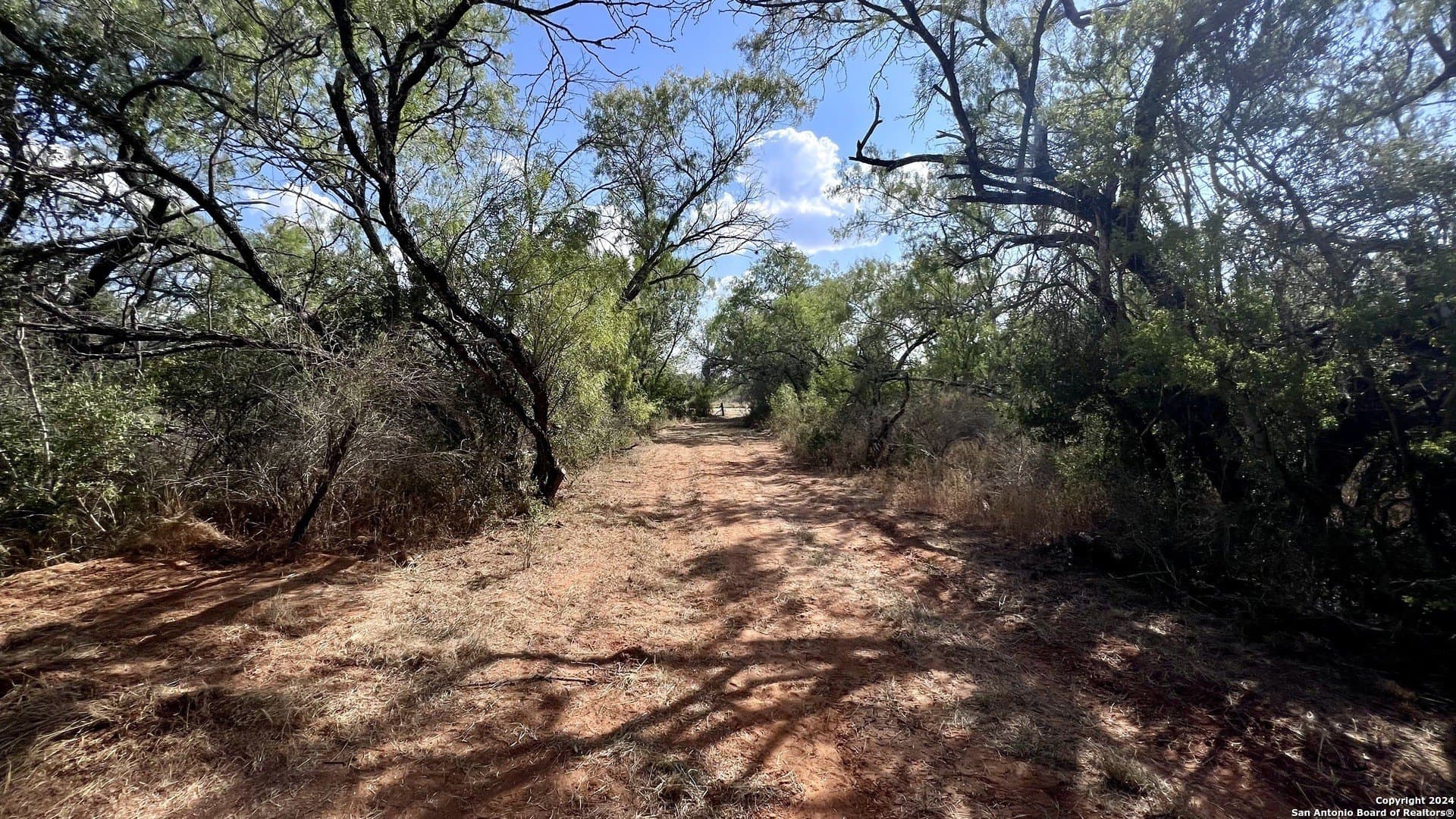 23 acres in Atascosa County - photo 13