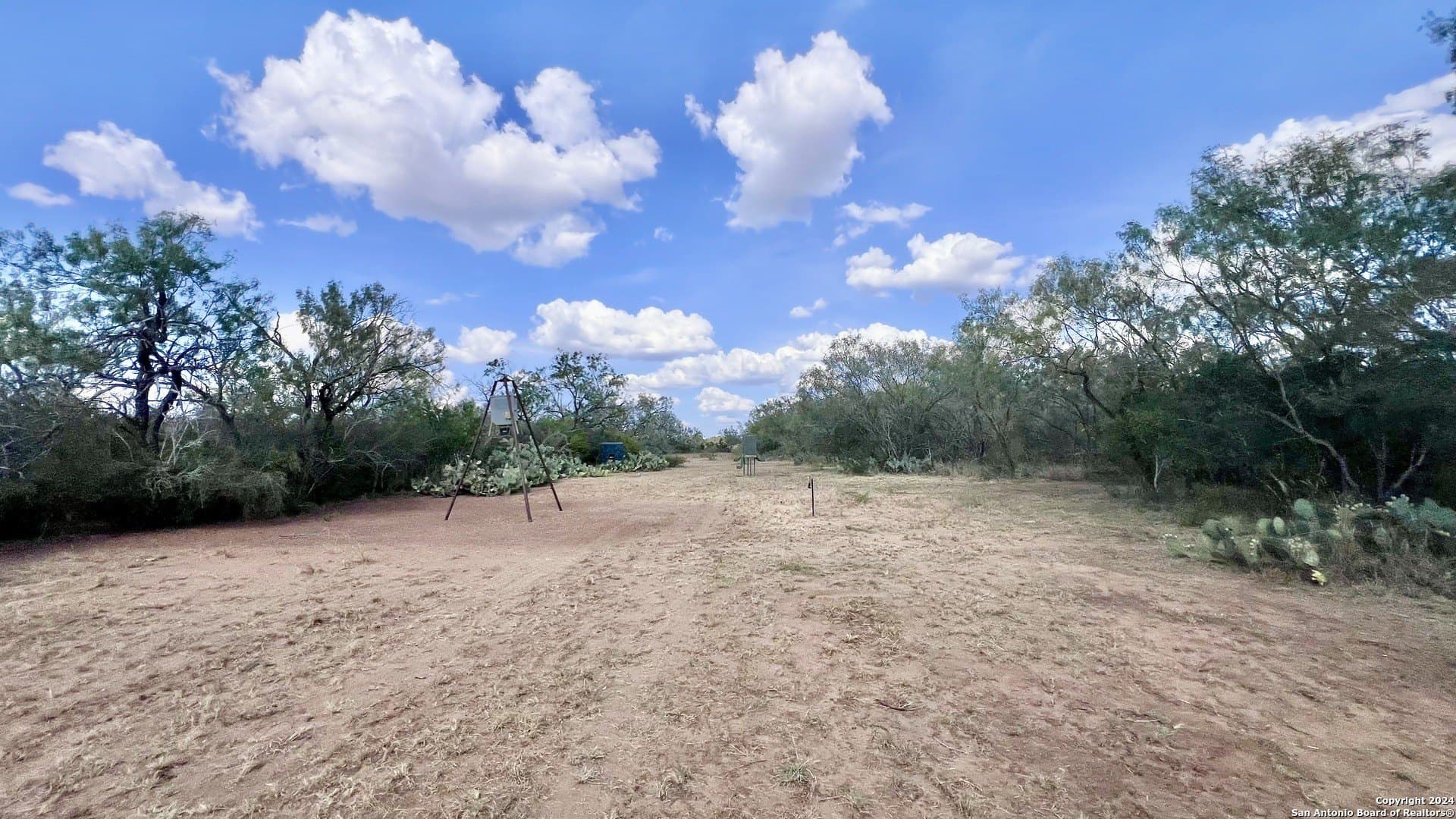 23 acres in Atascosa County - photo 8