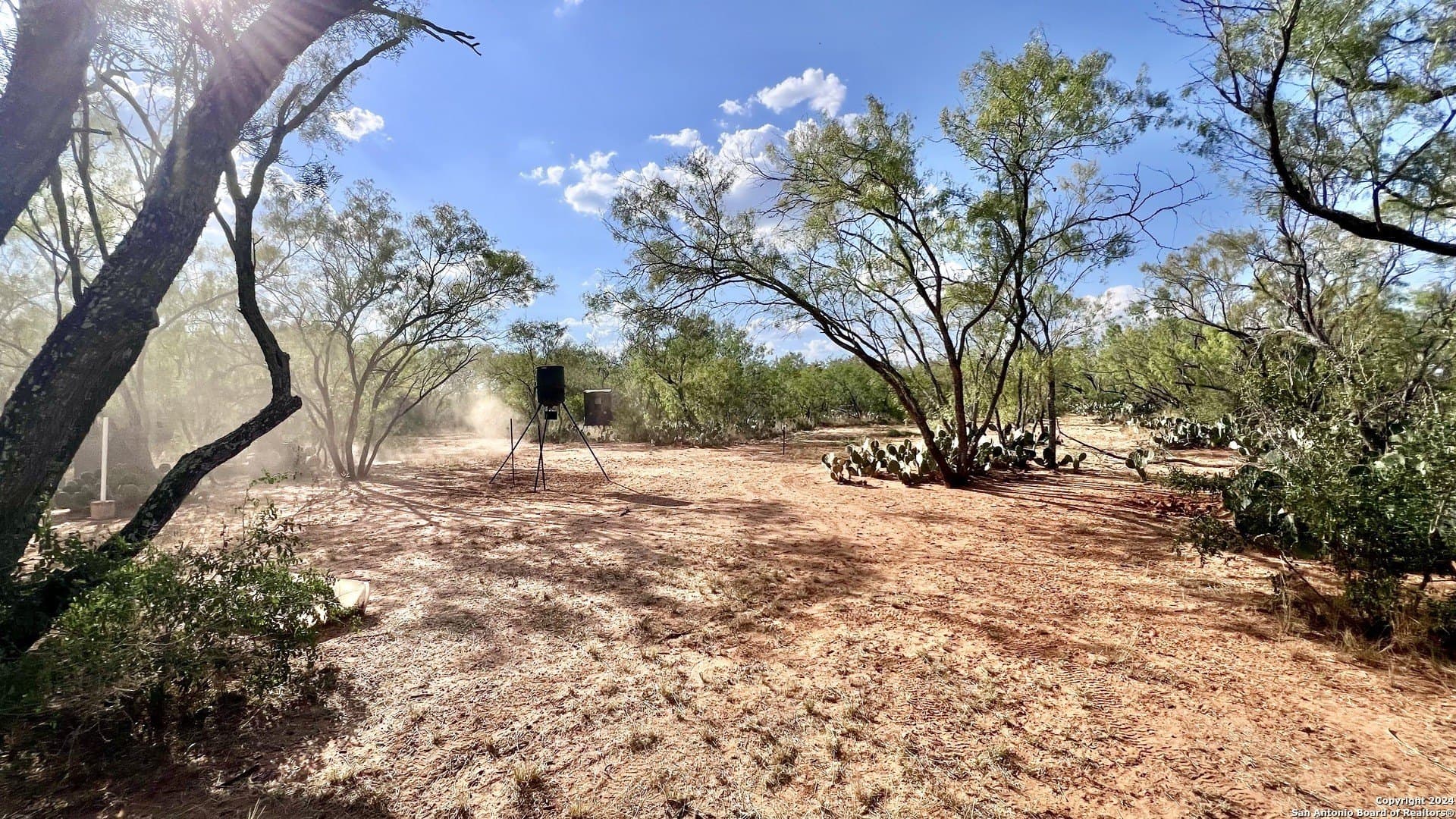 23 acres in Atascosa County - photo 4