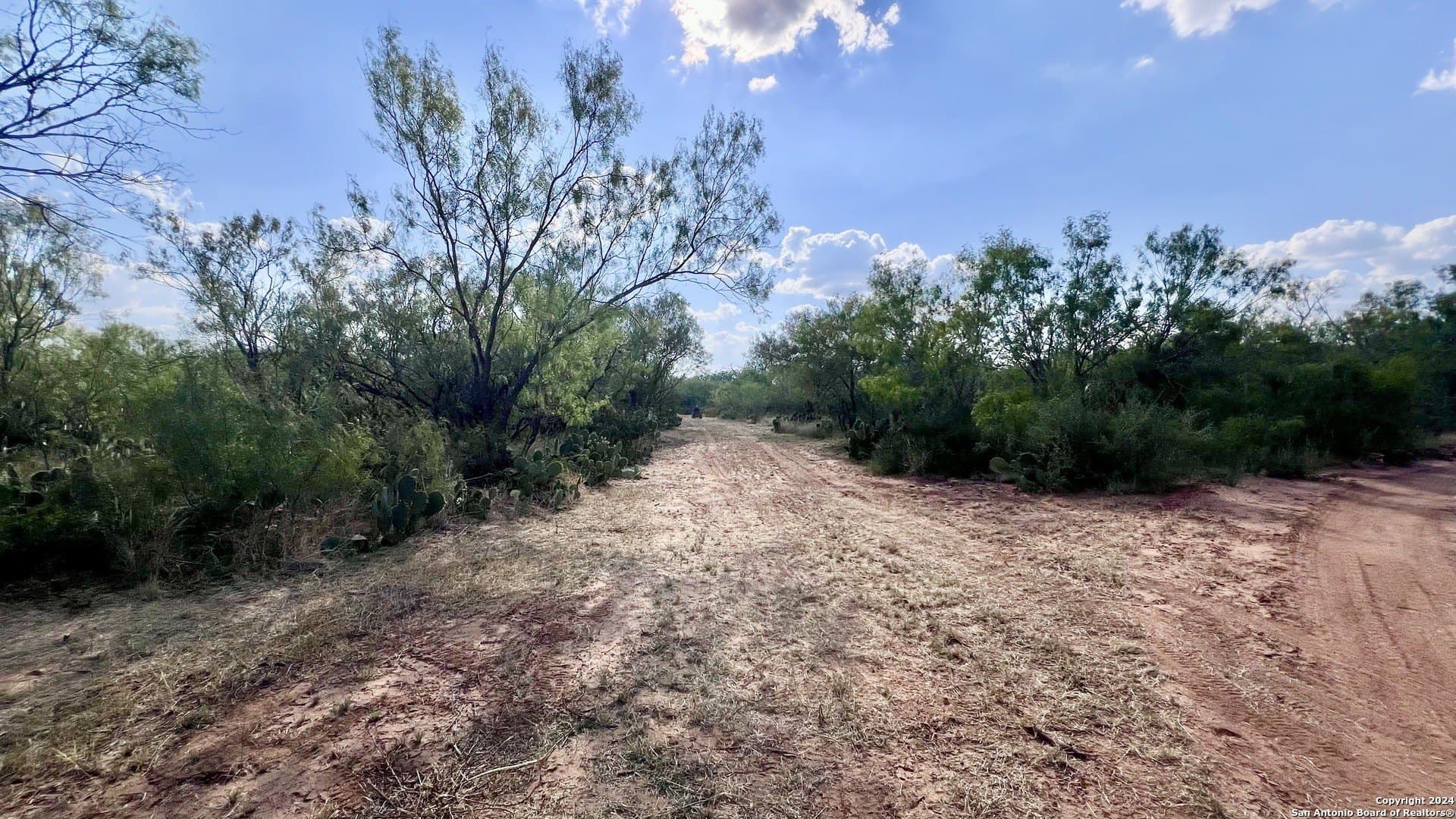23 acres in Atascosa County - photo 20