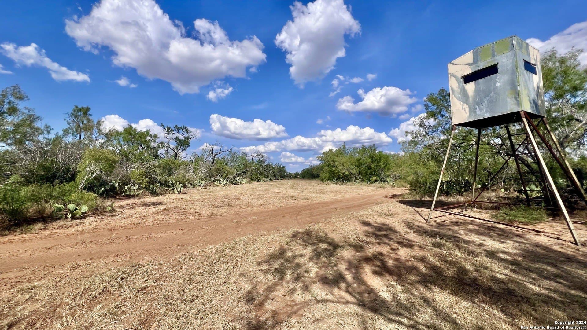 23 acres in Atascosa County - photo 2