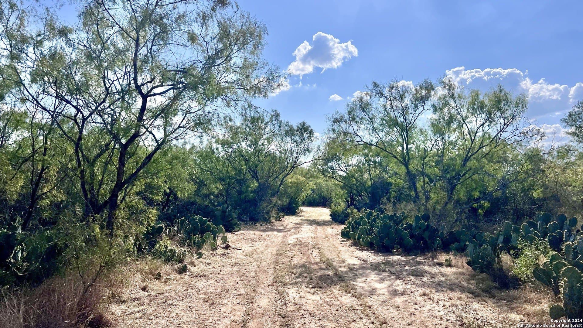 23 acres in Atascosa County - photo 21