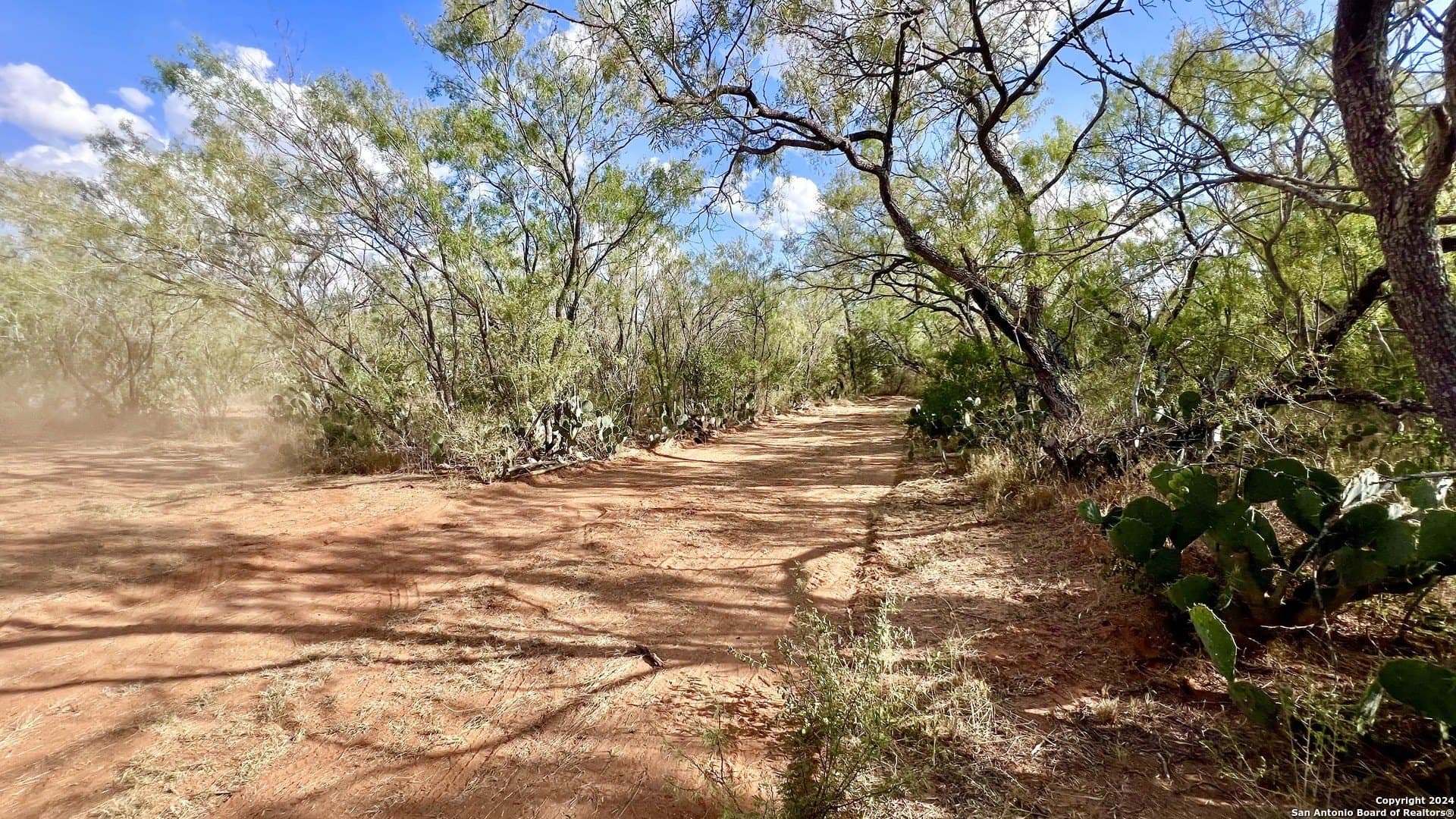 23 acres in Atascosa County - photo 22
