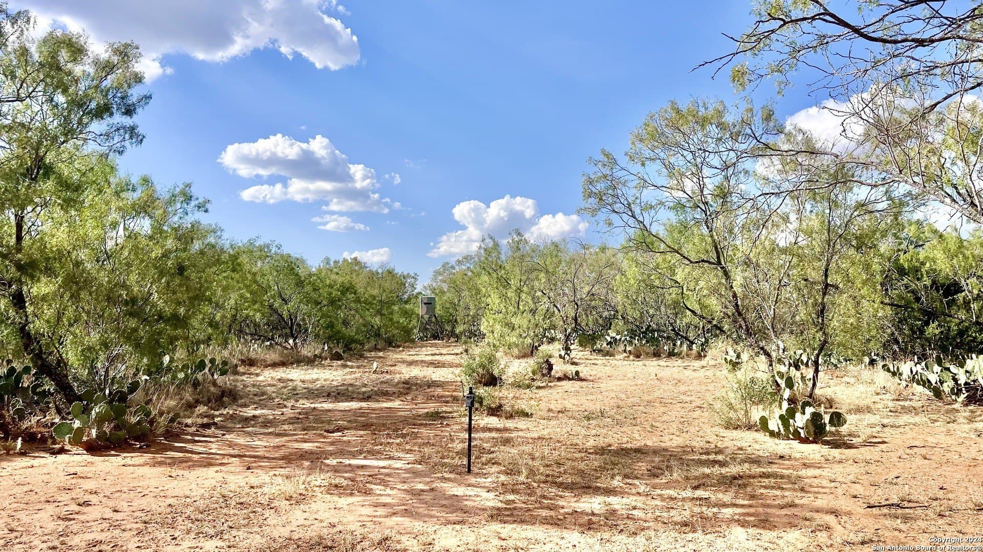 23 acres in Atascosa County - photo 17