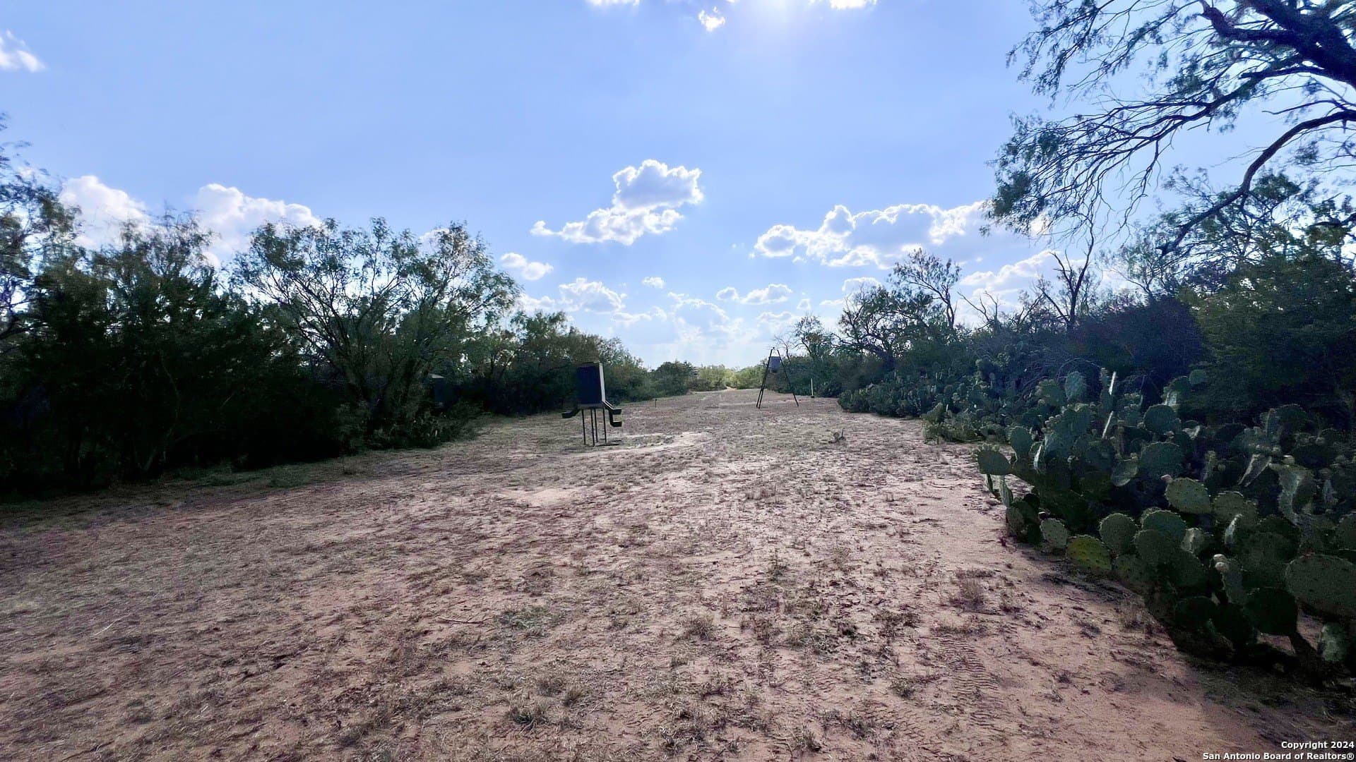 23 acres in Atascosa County - photo 19