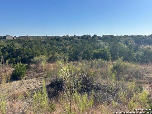 1.01 acres in Comal County - photo 4
