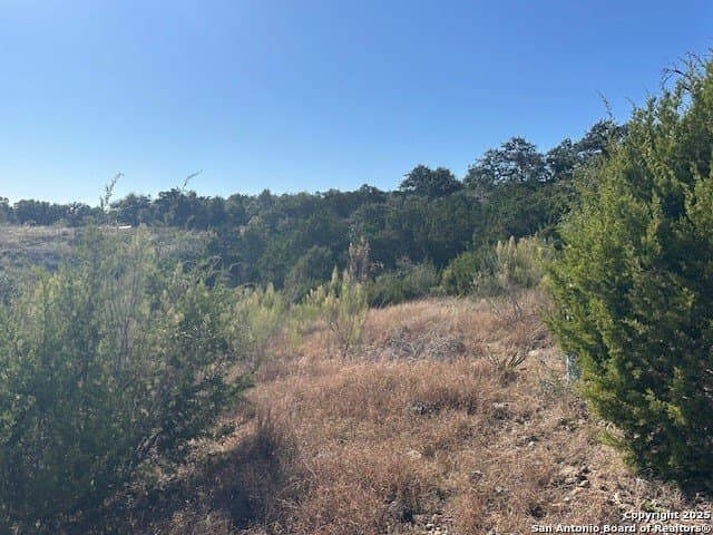 1.01 acres in Comal County - photo 2