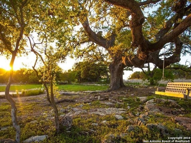 1.01 acres in Comal County - photo 17