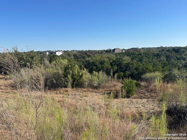 1.01 acres in Comal County - photo 5