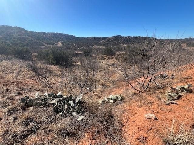 207.43 acres in Hall County - photo 7