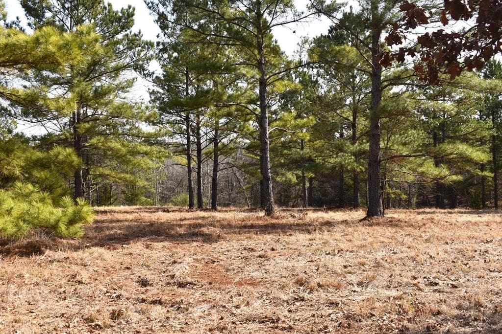 Lot 24 An County Road 148