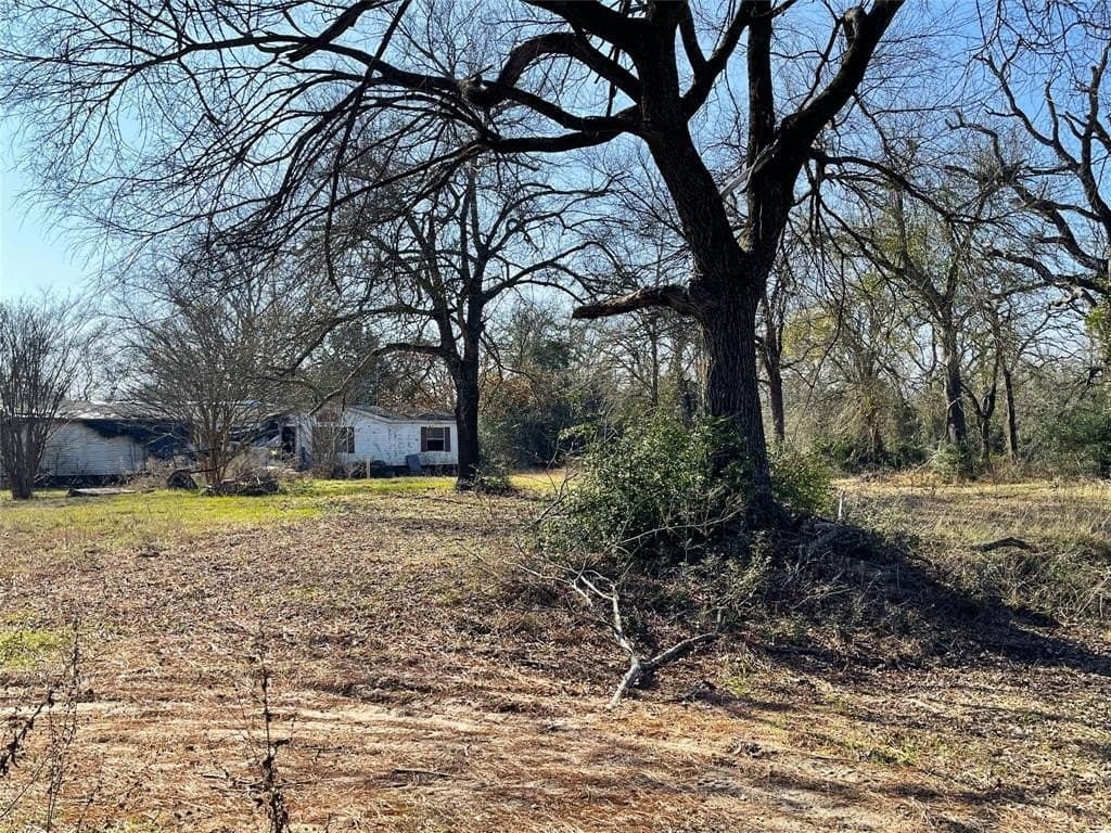 2.47 acres in Leon County - photo 6