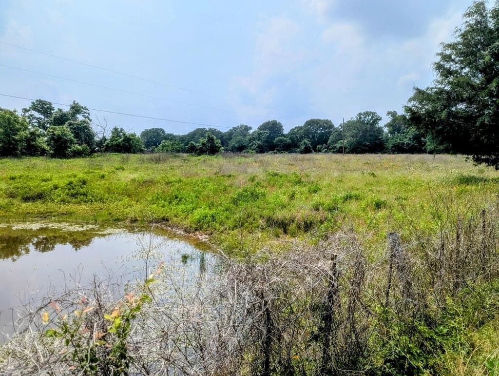 21.48 acres in ANDERSON County - photo 8