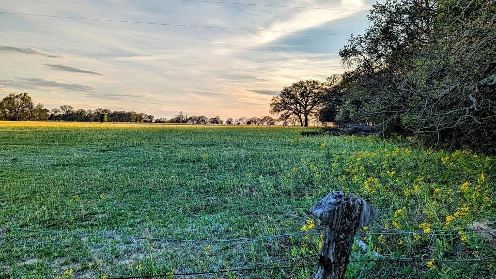 21.48 acres in ANDERSON County - photo 18