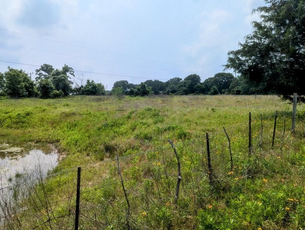 21.48 acres in ANDERSON County - photo 10