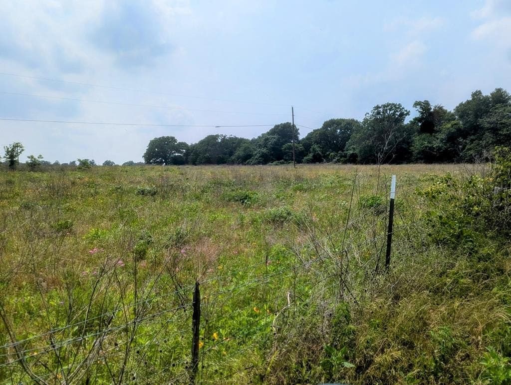 21.48 acres in ANDERSON County - photo 11