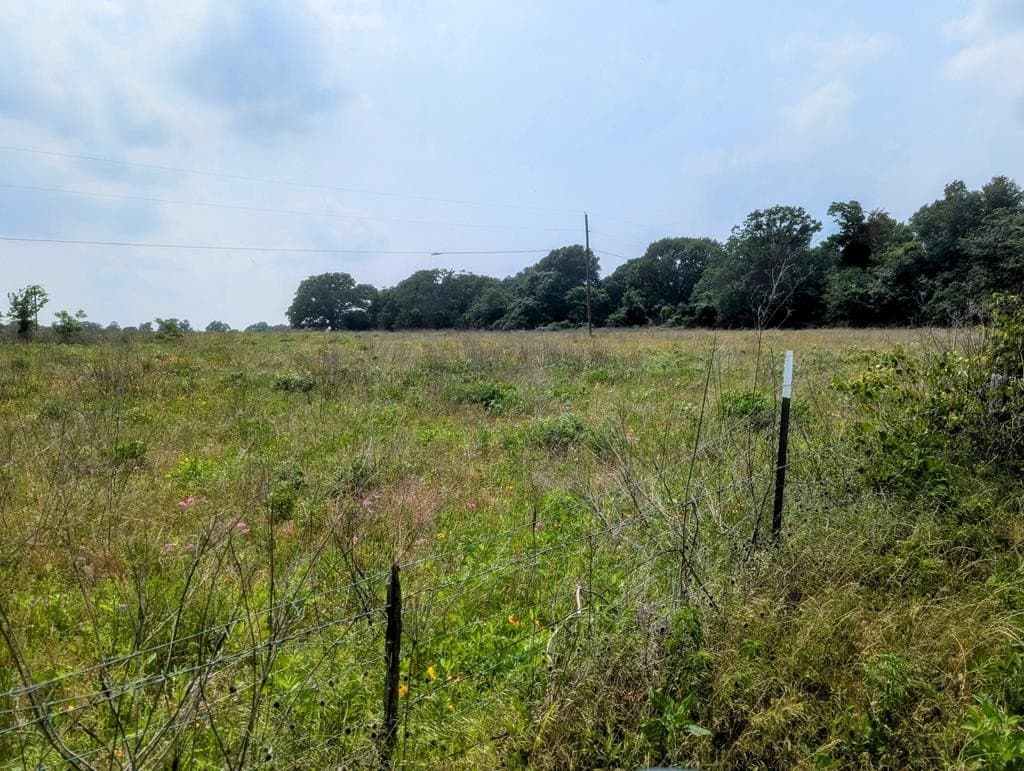 21.48 acres in ANDERSON County - photo 6