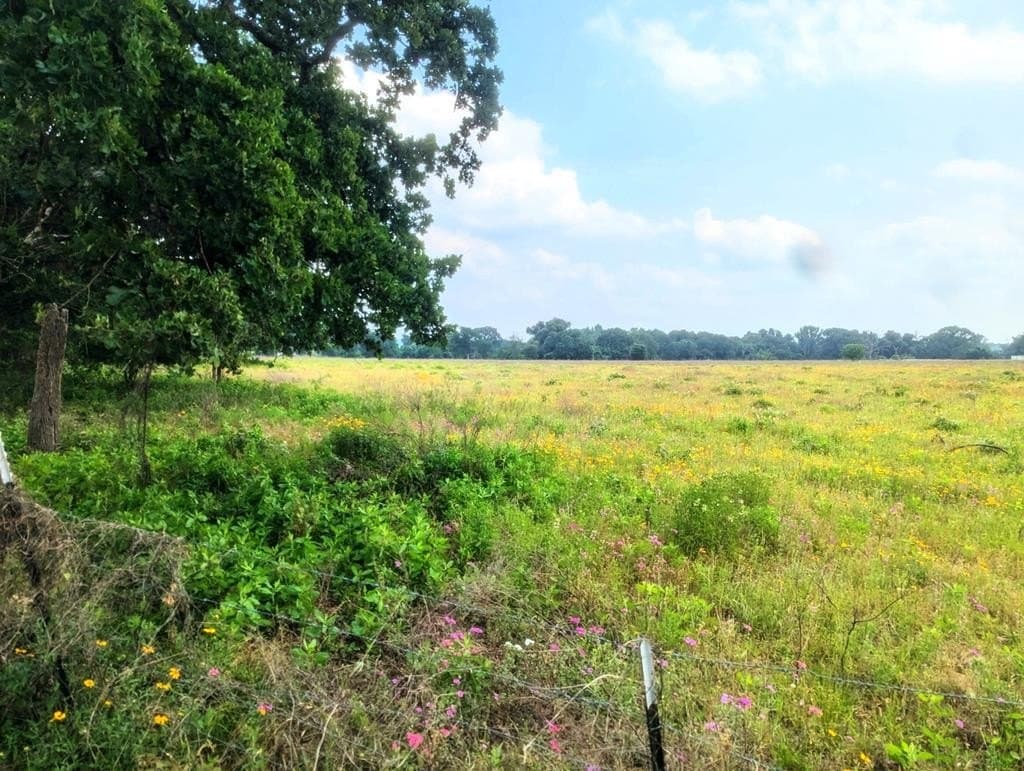 21.48 acres in ANDERSON County - photo 4