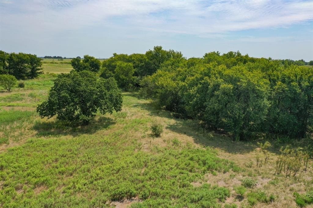 29.17 acres in Jack County - photo 7