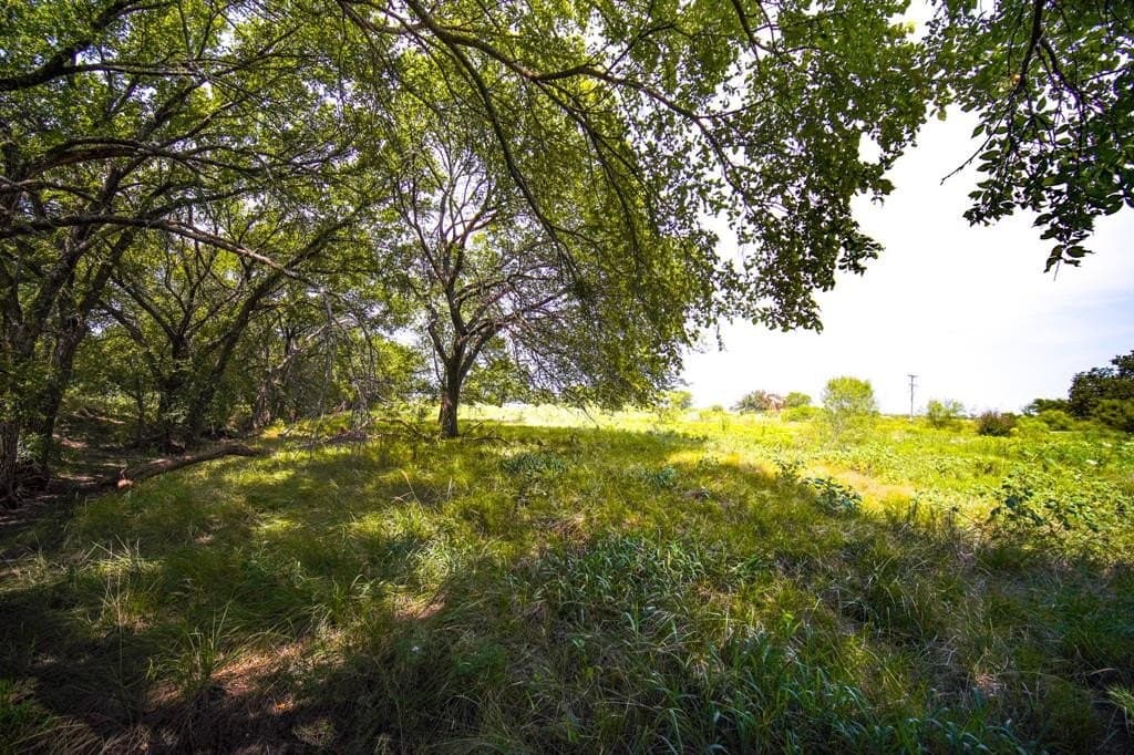 29.17 acres in Jack County - photo 20