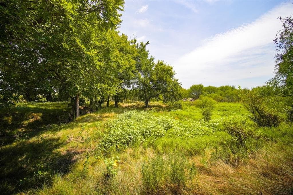 29.17 acres in Jack County - photo 18