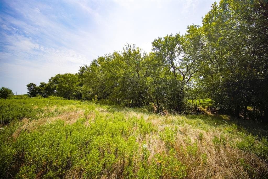 29.17 acres in Jack County - photo 14