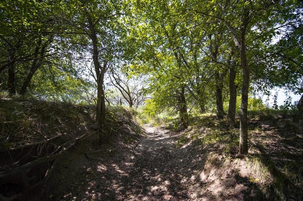 29.17 acres in Jack County - photo 15