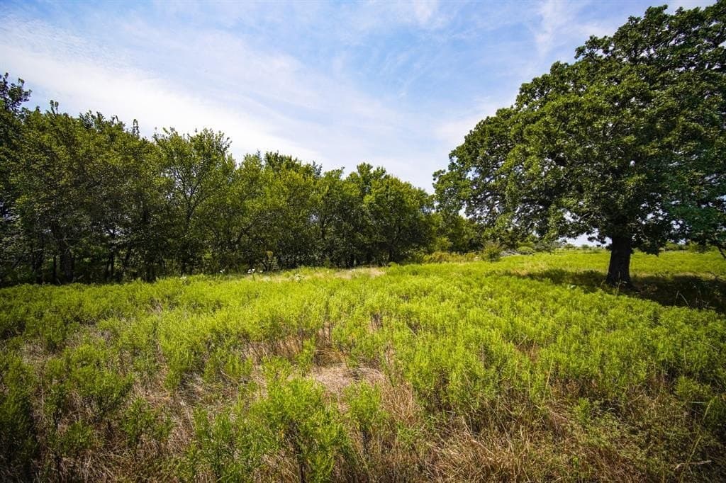 29.17 acres in Jack County - photo 23