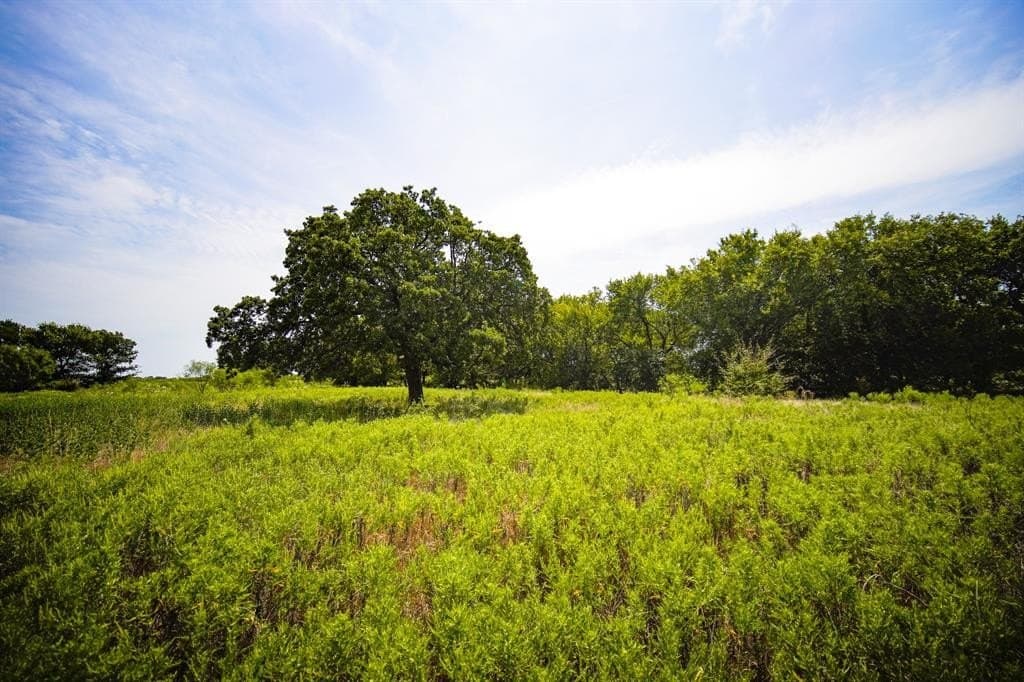 29.17 acres in Jack County - photo 13