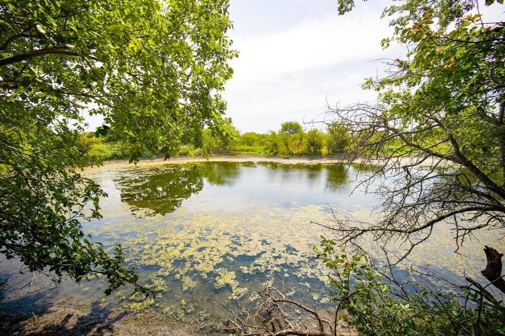 29.17 acres in Jack County - photo 16
