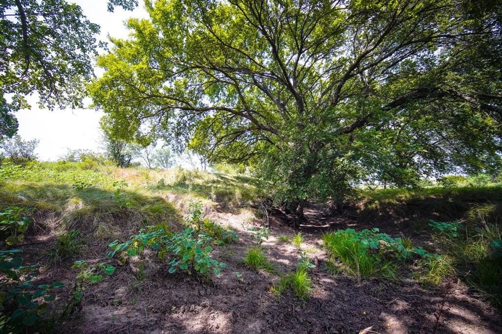 29.17 acres in Jack County - photo 19